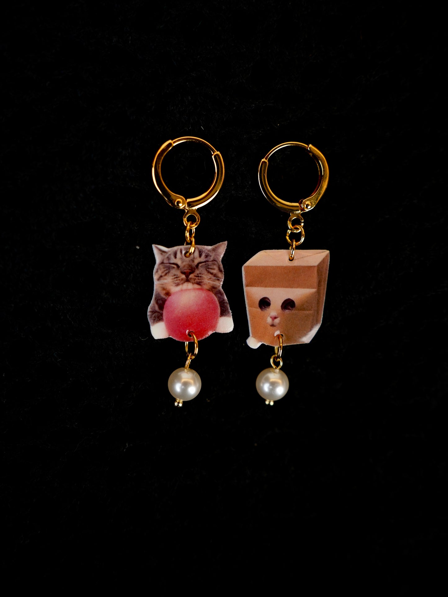 Socially Shy Cat Earrings